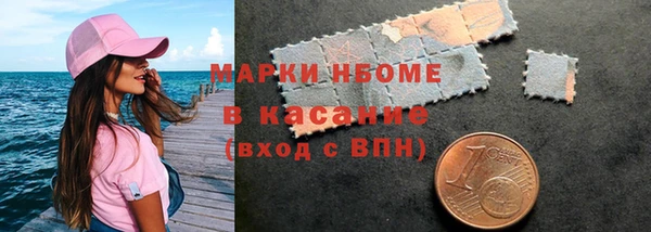 дмт Пестово