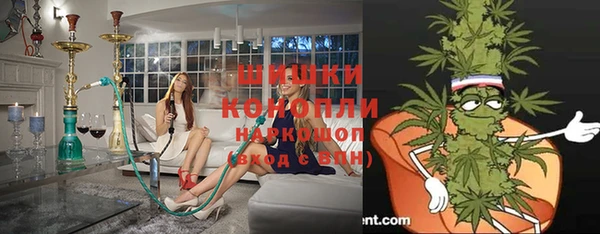 дмт Пестово