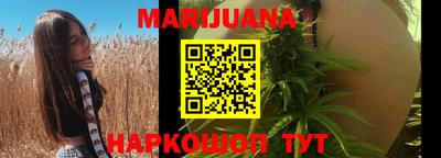 мяу мяу мука Гатчина