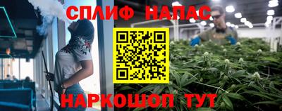мяу мяу мука Гатчина