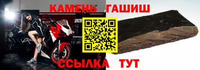 крисы Гай