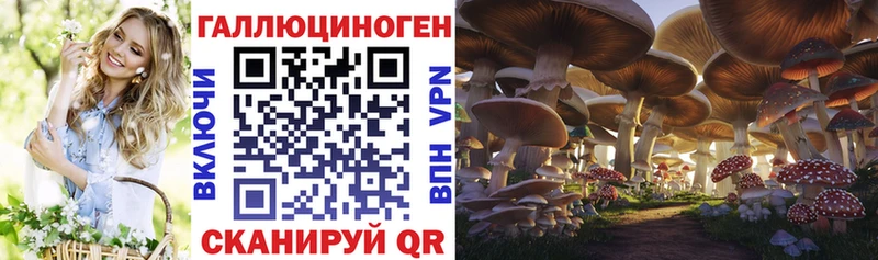 МЕГА вход  как найти наркотики  Анжеро-Судженск  Галлюциногенные грибы ЛСД 
