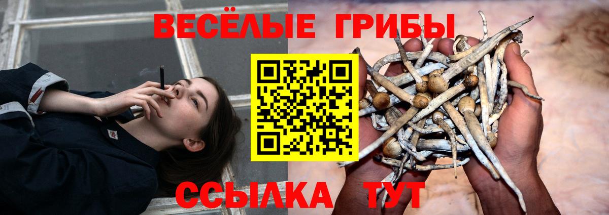 Галлюциногенные грибы ЛСД  Анжеро-Судженск 