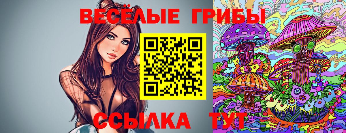 Галлюциногенные грибы Psilocybe  Псилоцибиновые грибы Psilocybe  Анжеро-Судженск  Вход с VPN 